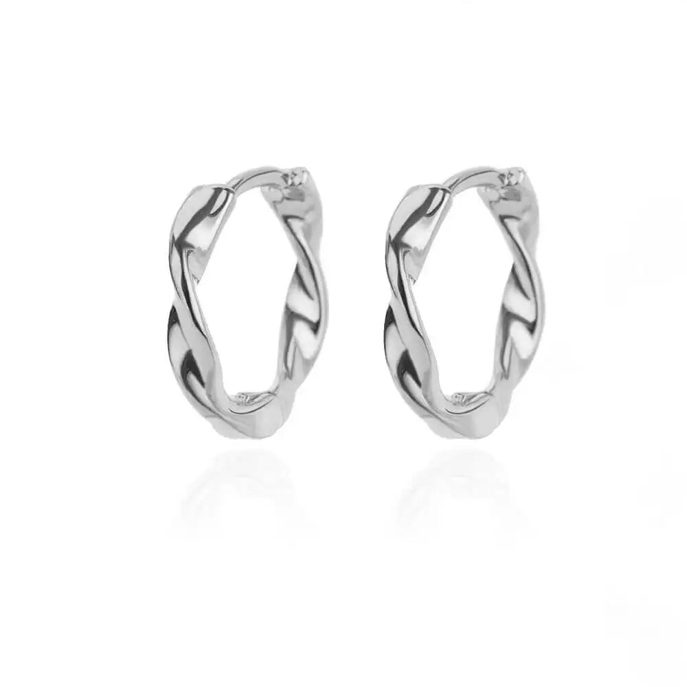 Round Stainless Steel Hoop Earrings for Women