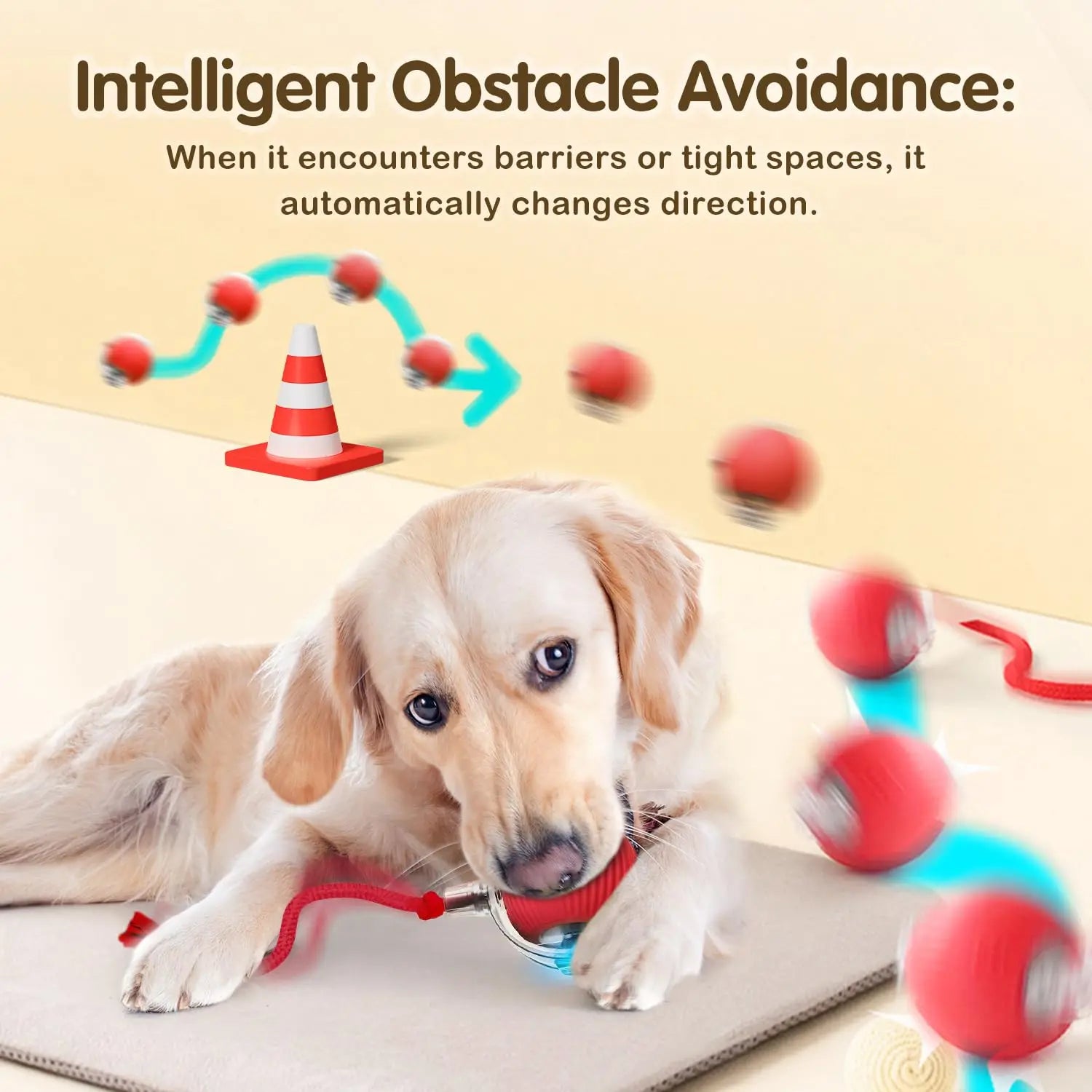 Interactive Smart Cat Toy Ball | Automatic Rolling Ball with Obstacle Avoidance lifestyle view