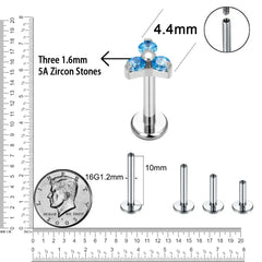 ASTM F136 Titanium Nose Piercing Petal Earrings For Women Labret Lip Rings Goth Ear T alternate view