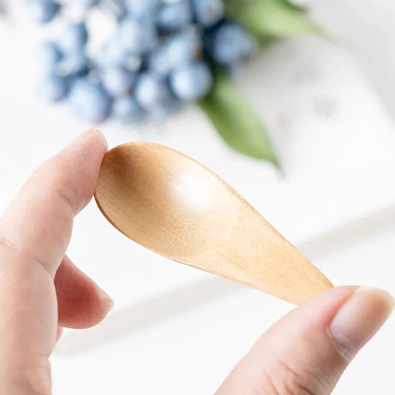 Wooden Mini Salt Spoon | Small Solid Wood Condiment Spoon close-up view