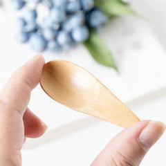 Wooden Mini Salt Spoon | Small Solid Wood Condiment Spoon close-up view
