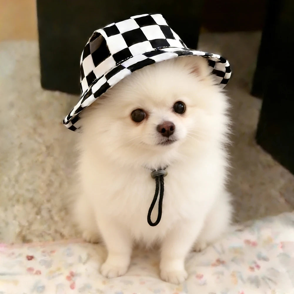 Cute Print Dog Hat for Small Medium Dogs | Adjustable Pet Cap for Pug Corgi Dachshund lifestyle view
