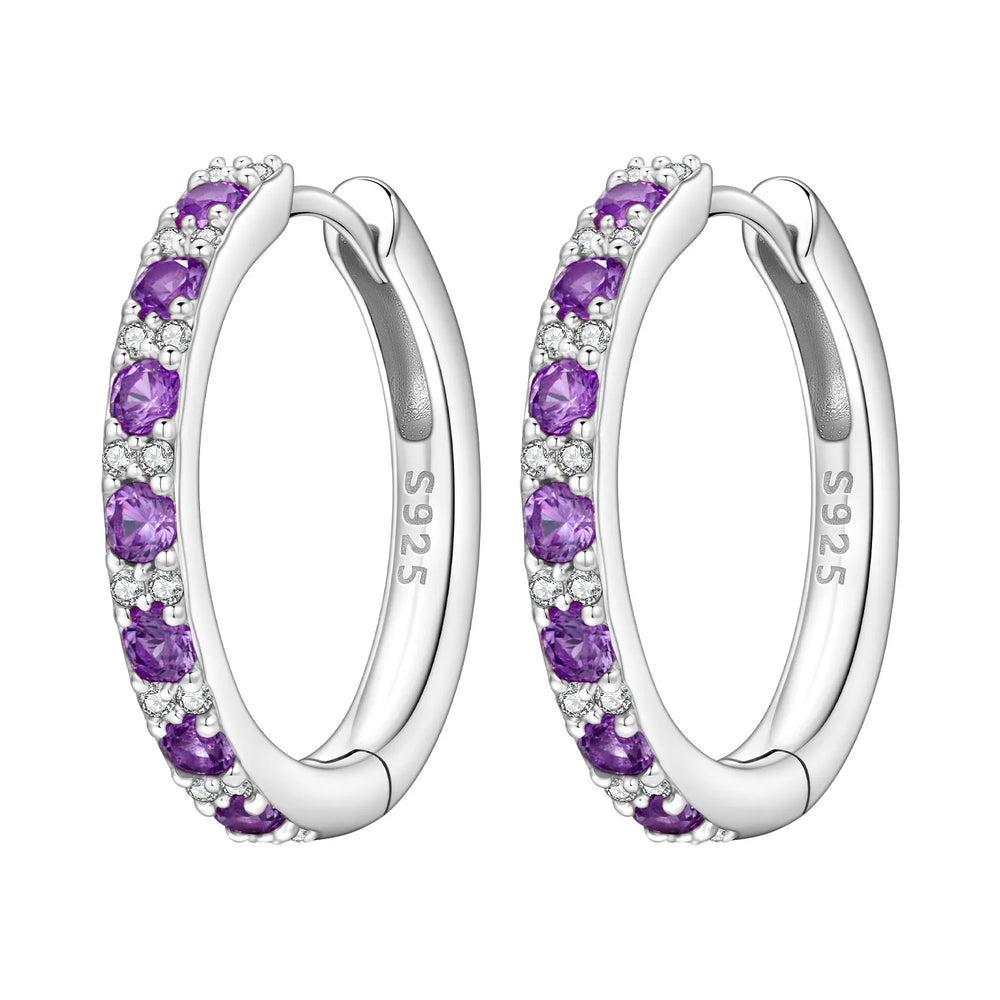 PANPOKI S925 Sterling Silver Purple Zircon Series Earrings Hoop Earrings For Women Jewel detail view