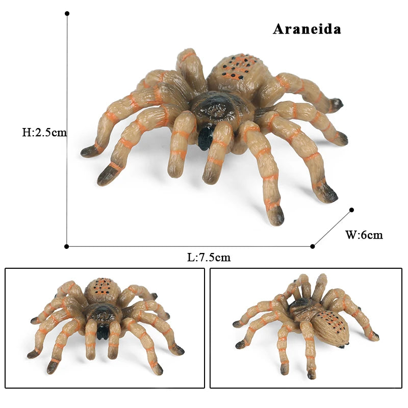 Oenux Insect Animals Model Spider Web Scorpion Bat Action Figures Figurine Miniature Cute Educational Kid Toy Halloween Gift