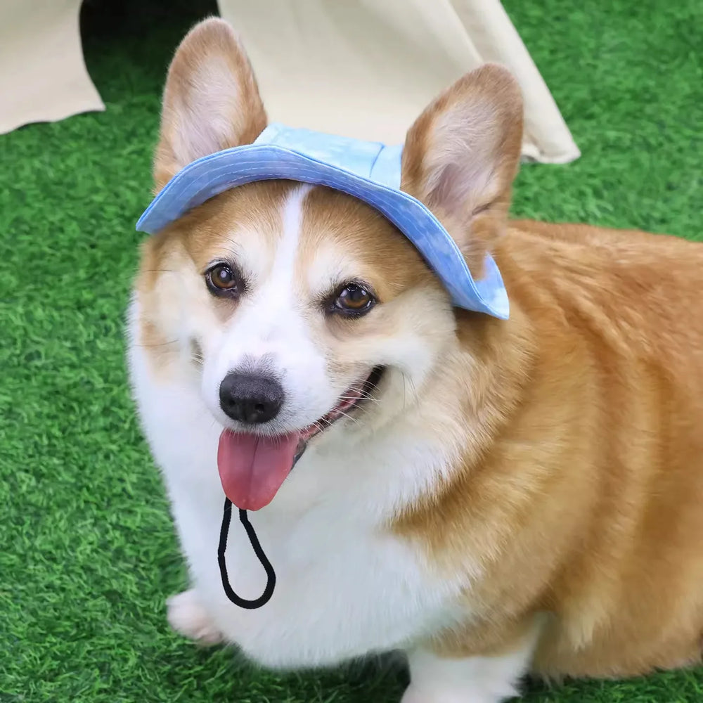 Dog Sun Hat with Ear Holes | Breathable Cotton Bucket Hat for Small Pets lifestyle view