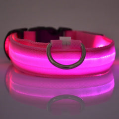 Nylon LED Night Safety Dog Collar close-up view