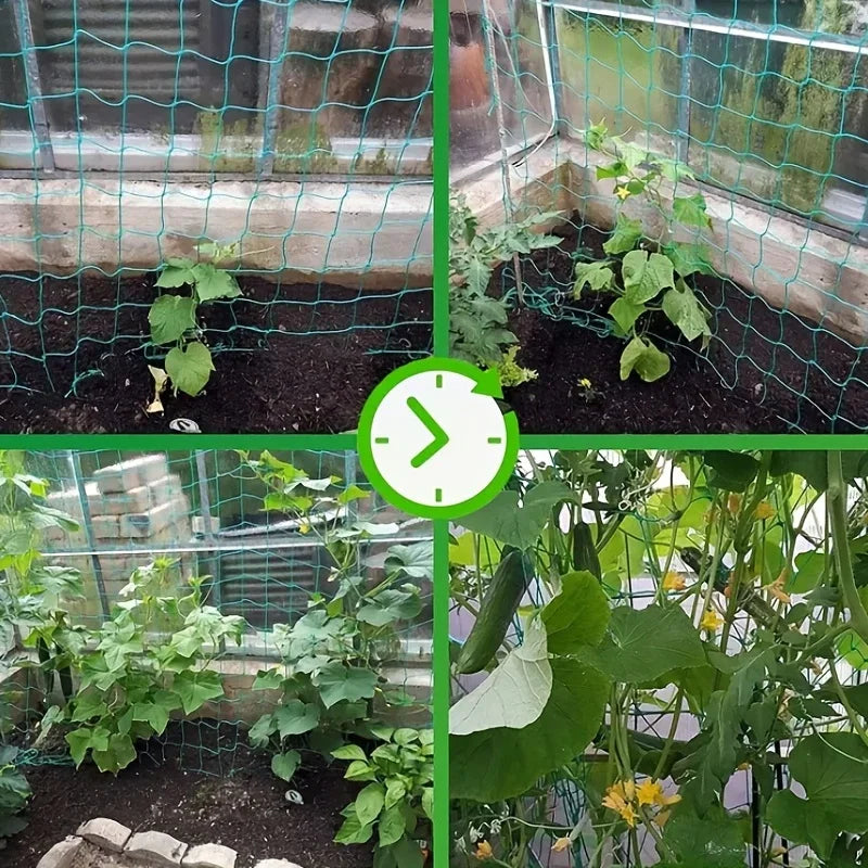 Trellis Pergolas Heavy-Duty Polyester Grow Net Garden Trellis Netting for Climbing Plant detail view
