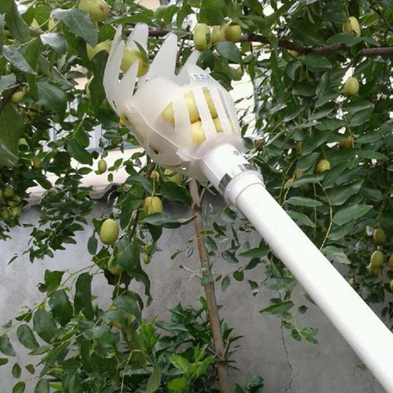 Plastic Fruit Picker Tool – Garden Harvesting