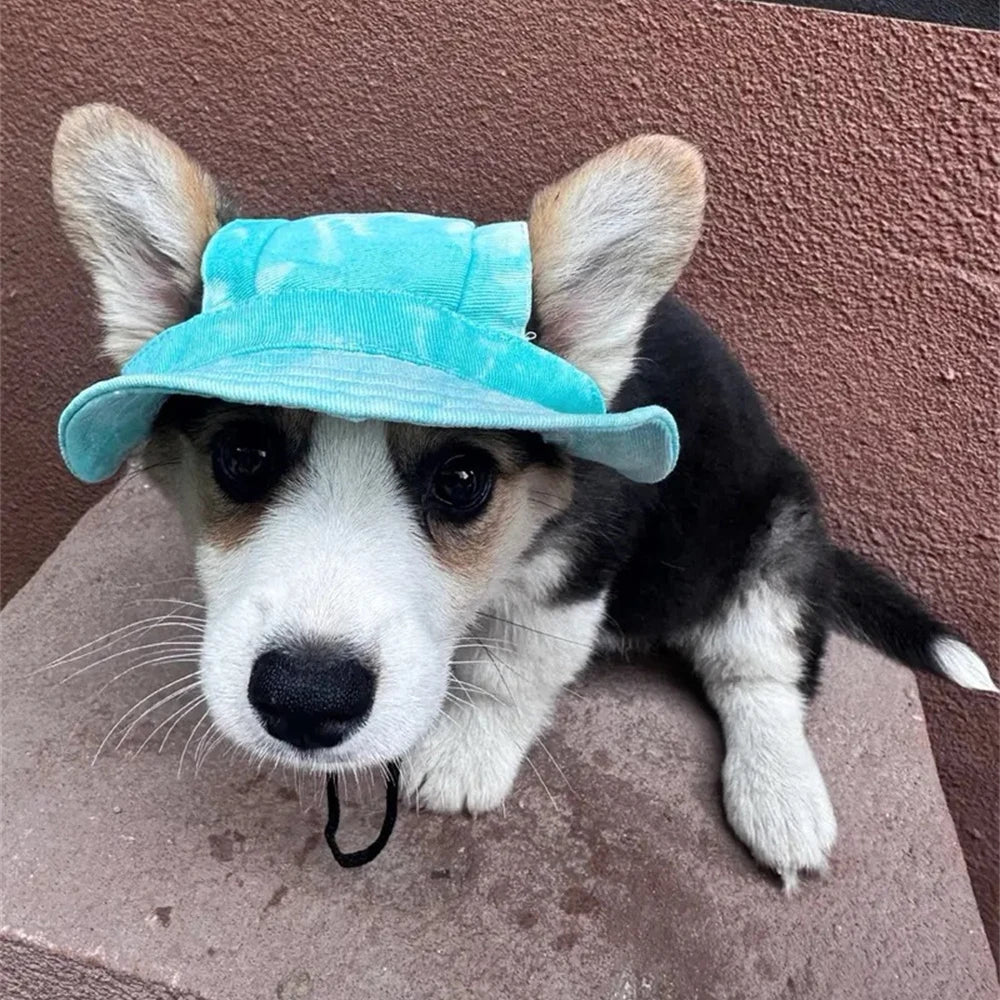 Breathable Pet Sun Hat | Cooling Shade for Small Dogs and Cats lifestyle view