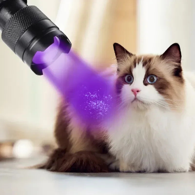 Portable UV Flashlight 365-395nm | Black Light Ultraviolet Zoomable Torch for Pet Uri alternate view