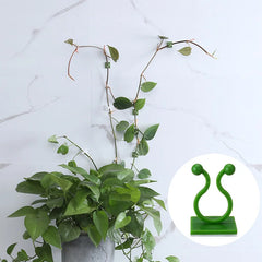 Garden Plant Climbing Wall Fixture Clips Rattan Vine Fixer Self-Adhesive Fixed Buckle Ho detail view