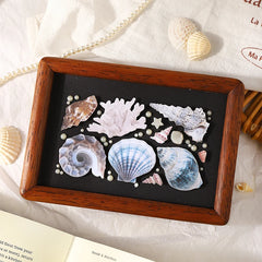Journal GO 30pcs Vintage Conch Shell Sticker Scrapbooking Marine Life Stationery Stick close-up view