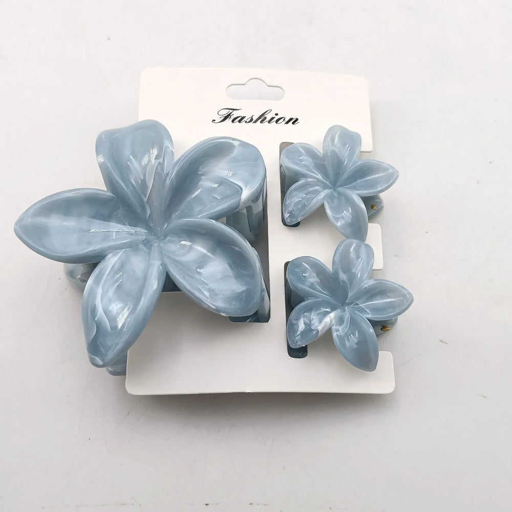 3/6/9/12PCS Hawaiian Gradient Flower Hair Claw Clip For Women Girl Fashion Plastic No lifestyle view