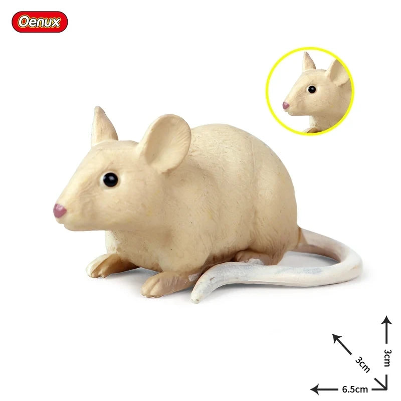 Oenux Insect Animals Model Spider Web Scorpion Bat Action Figures Figurine Miniature Cute Educational Kid Toy Halloween Gift
