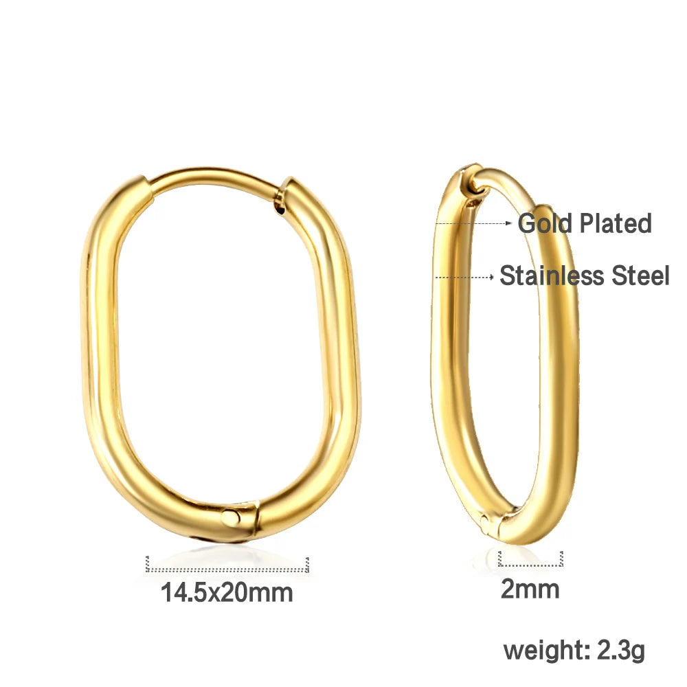 Stainless Steel Hoop Earrings for Women | Hypoallergenic Round Hinged Hoops - 12/14/16 close-up view