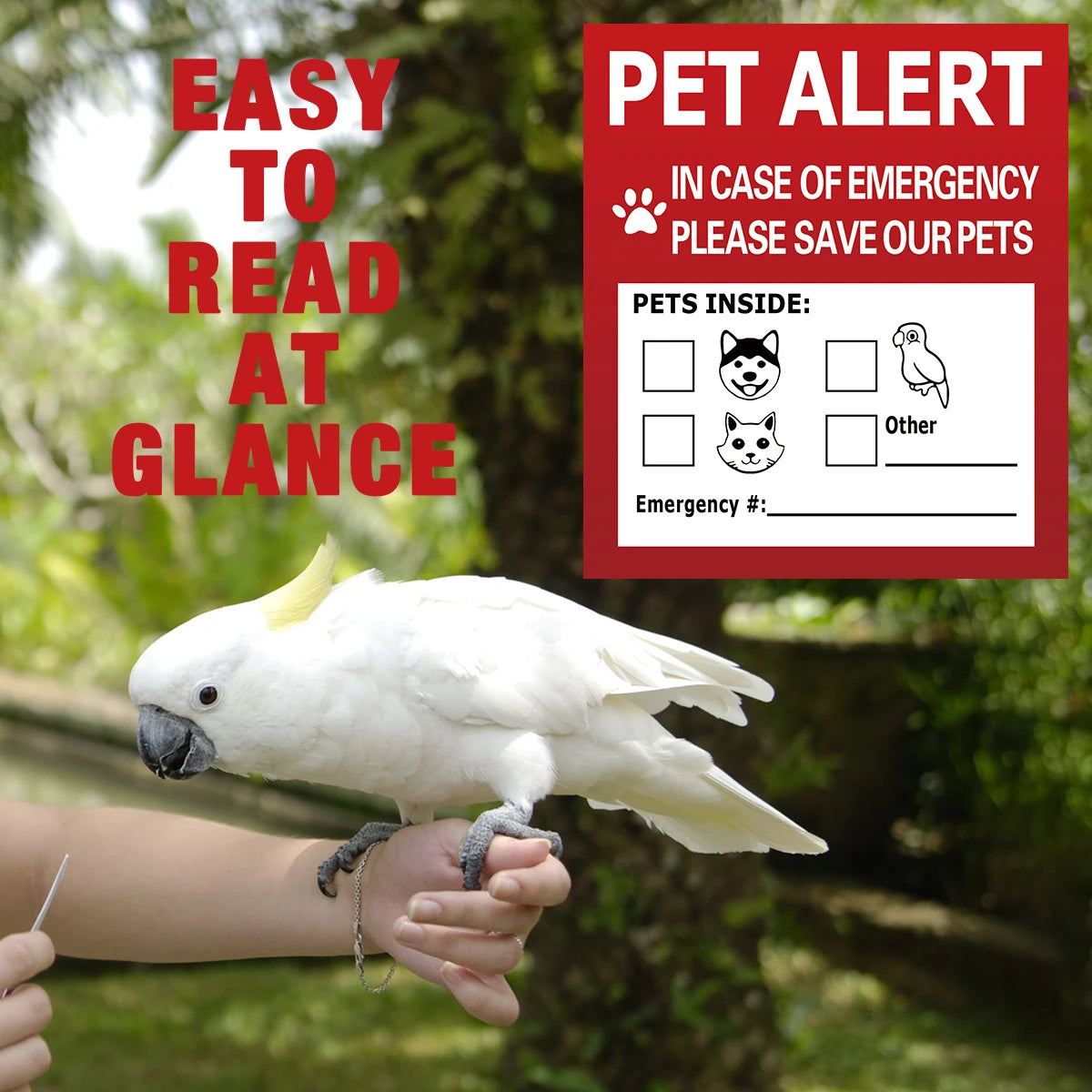 Pet Alert Stickers | Emergency Pet Rescue Window Decals (4 Pack) detail view