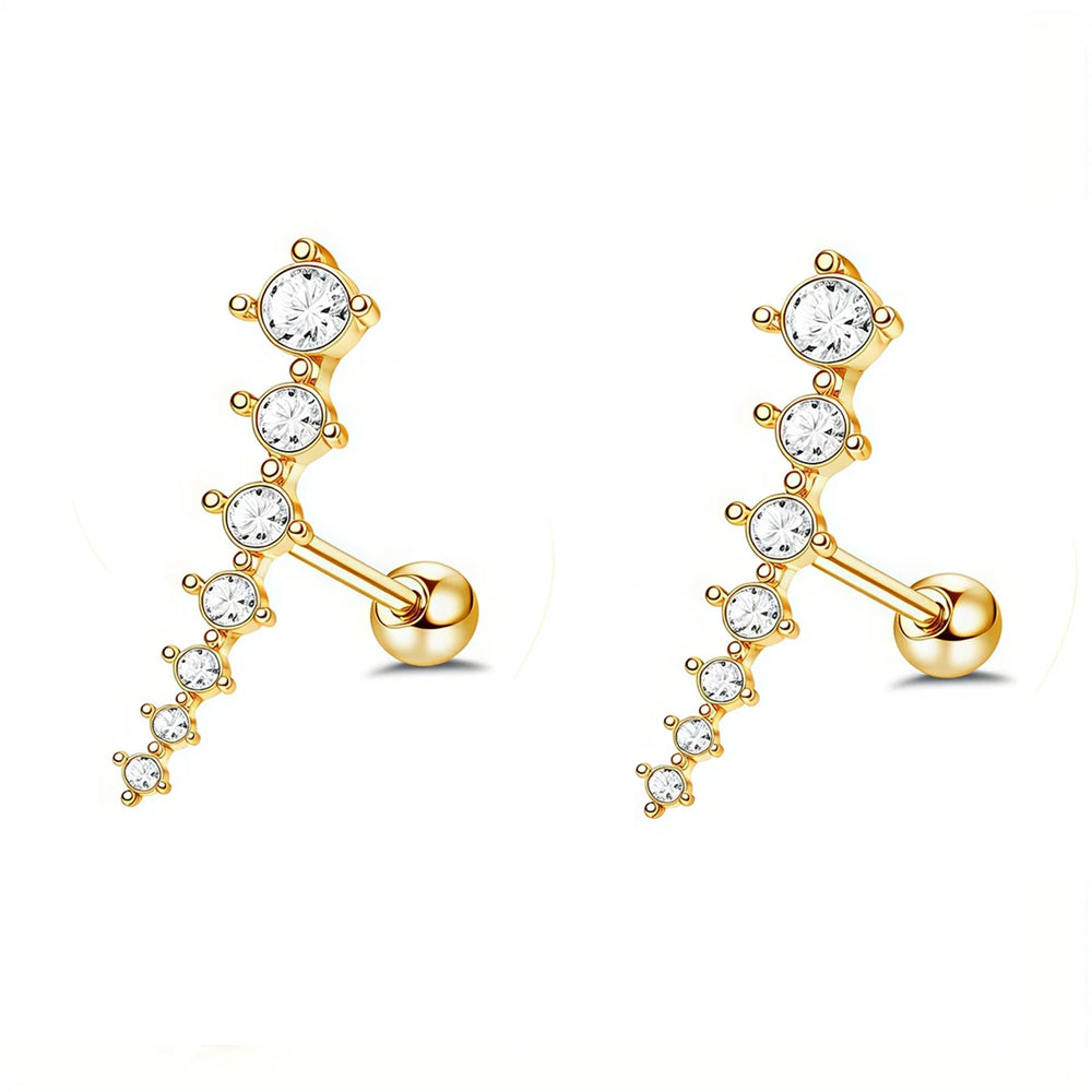 EVISPOL 2Pcs 16G Stainless Steel Screw Back Stud Earrings for Women, Cubic Zerconia Cart detail view