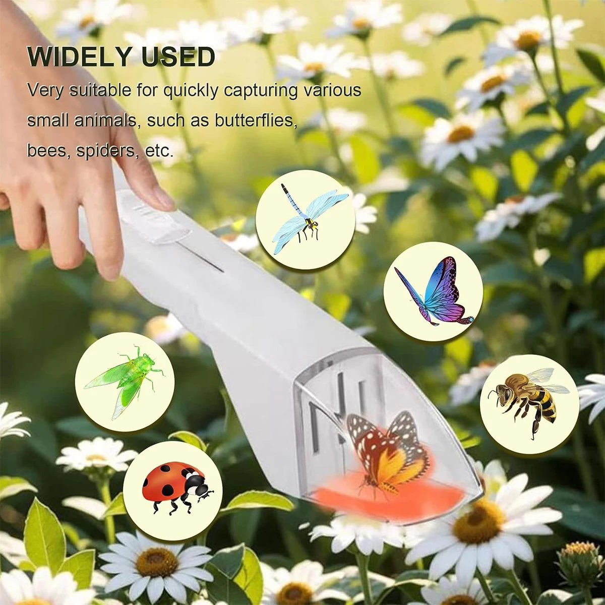 Bug Catcher for Kids | Humane Insect Capture and Observation Tool lifestyle view
