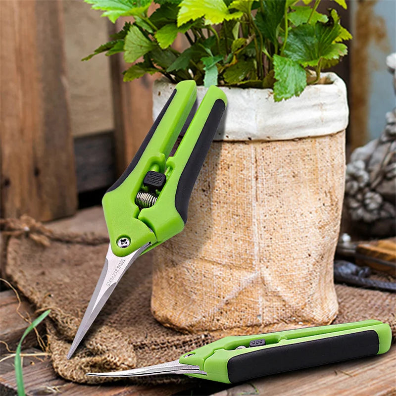 6.5 Inch Gardening Scissors Hand Pruner | Pruning Shears with Stainless Steel Blades lifestyle view