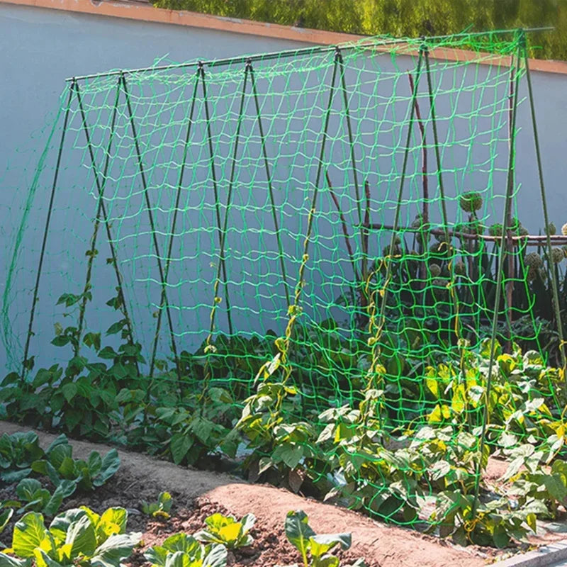 Trellis Pergolas Heavy-Duty Polyester Grow Net Garden Trellis Netting for Climbing Pl alternate view