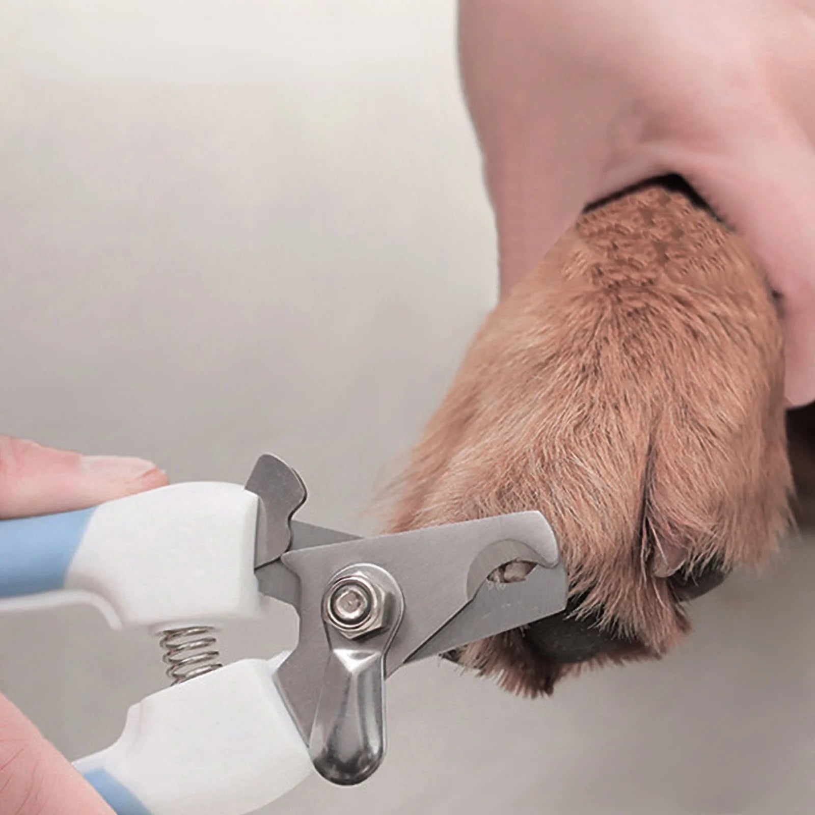 Professional Pet Nail Clippers Dog Cat Stainless Steel Two-color Labor-Saving Nail Clipp detail view