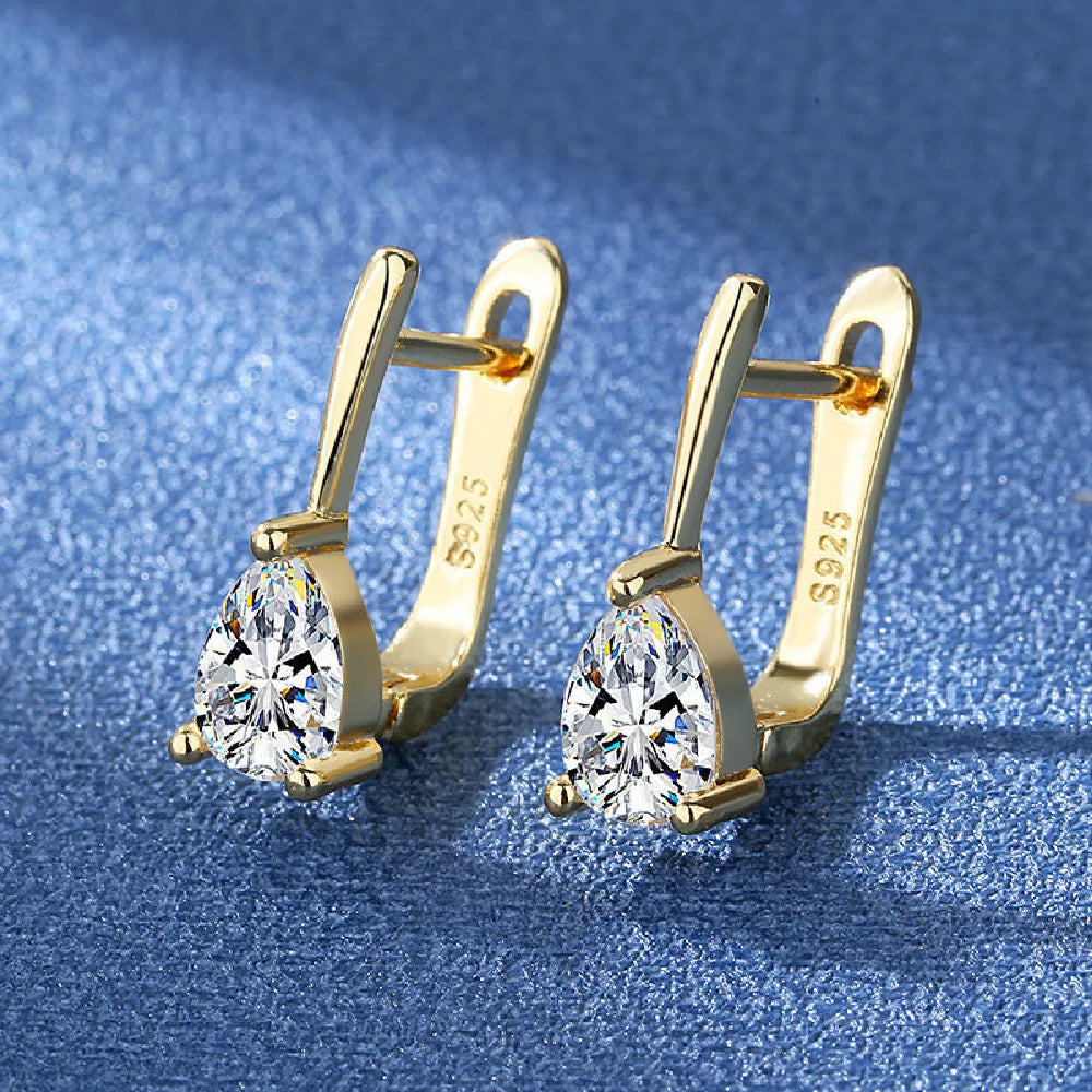 925 Sterling Silver Crystal Zircon Earrings For Women High-End Temperament Tassel Earrings Simple And Versatile Earring Jewelry