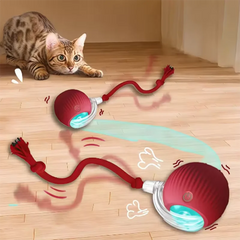 Cat toys are automatically teasing cat balls