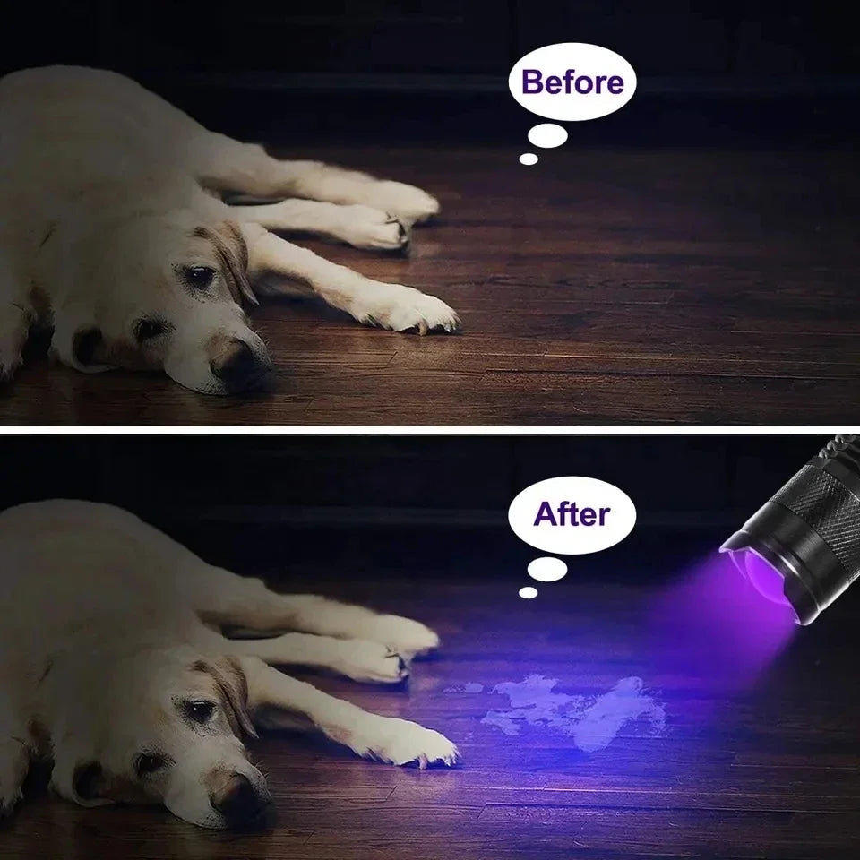 UV LED Flashlight | Ultraviolet 395nm Inspection Lamp for Pet Urine Detection lifestyle view