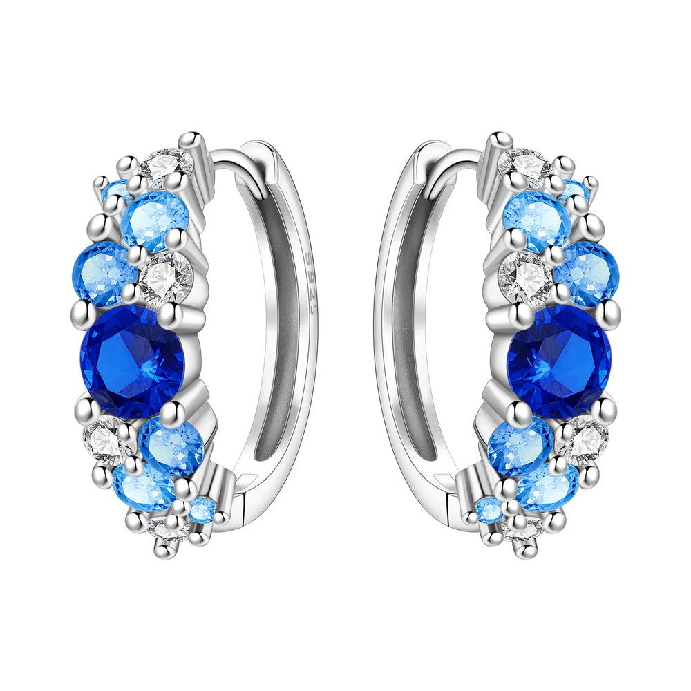 PANPOKI S925 Sterling Silver Purple Zircon Series Earrings Hoop Earrings For Women Je alternate view