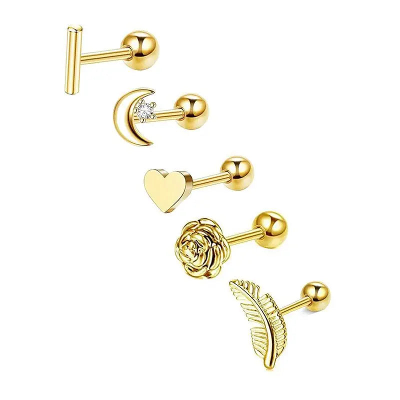 5PCS Heart Tragus Piercing Stud Earring Set Small Lobe Stud Earrings Cartilage Pier additional angle