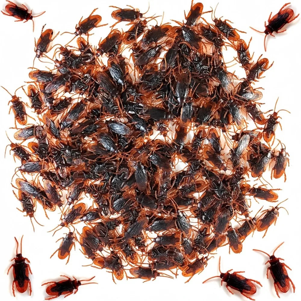 15/5pc Simulated Cockroaches Realistic Fake Cockroaches in Plastic Models Fun Props F lifestyle view