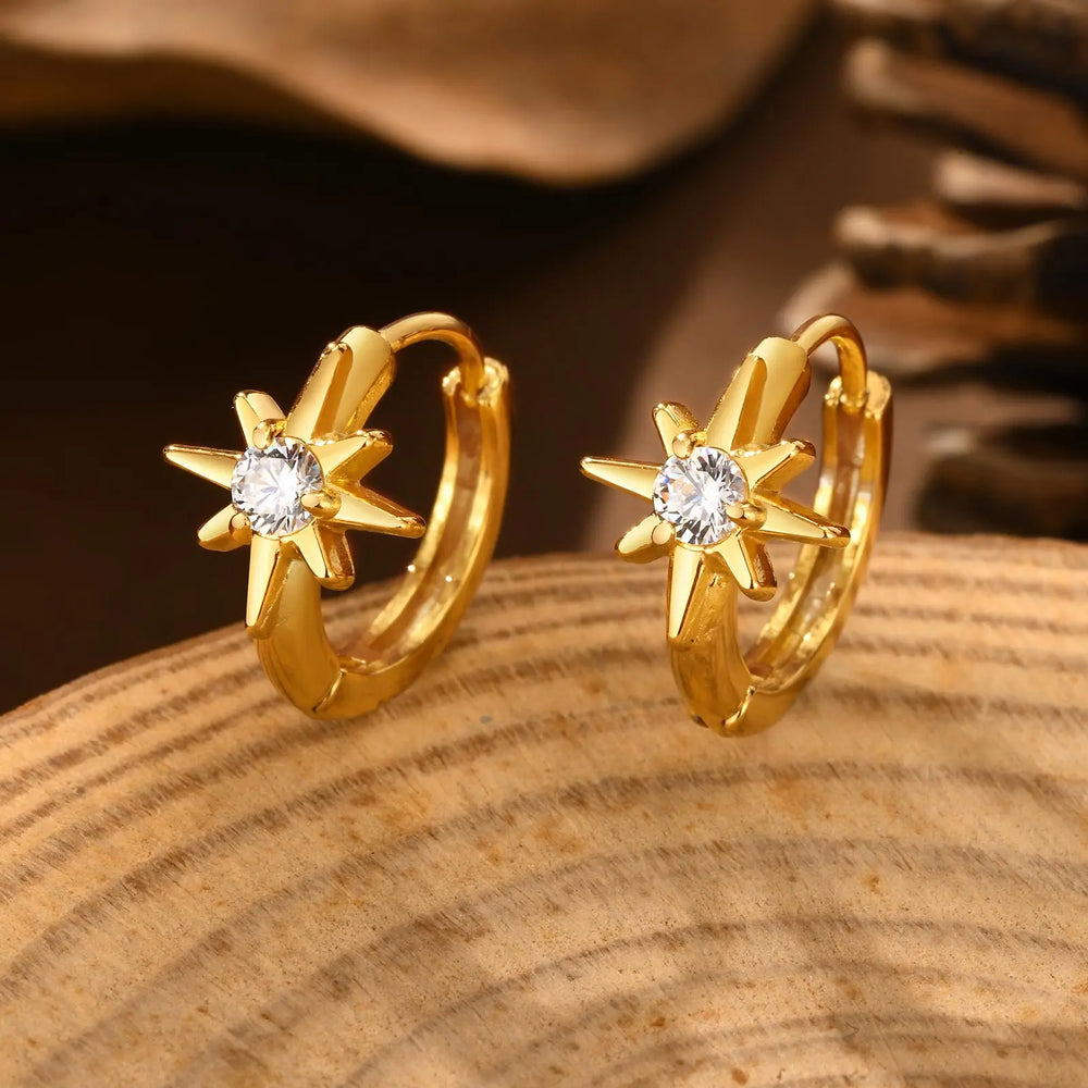 Heart-Shaped Zircon Earrings for Women | Stainless Steel Gold Hoop Earrings lifestyle view