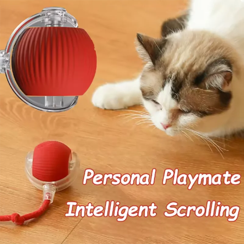 Cat toys are automatically teasing cat balls alternate view