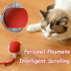 Cat toys are automatically teasing cat balls alternate view