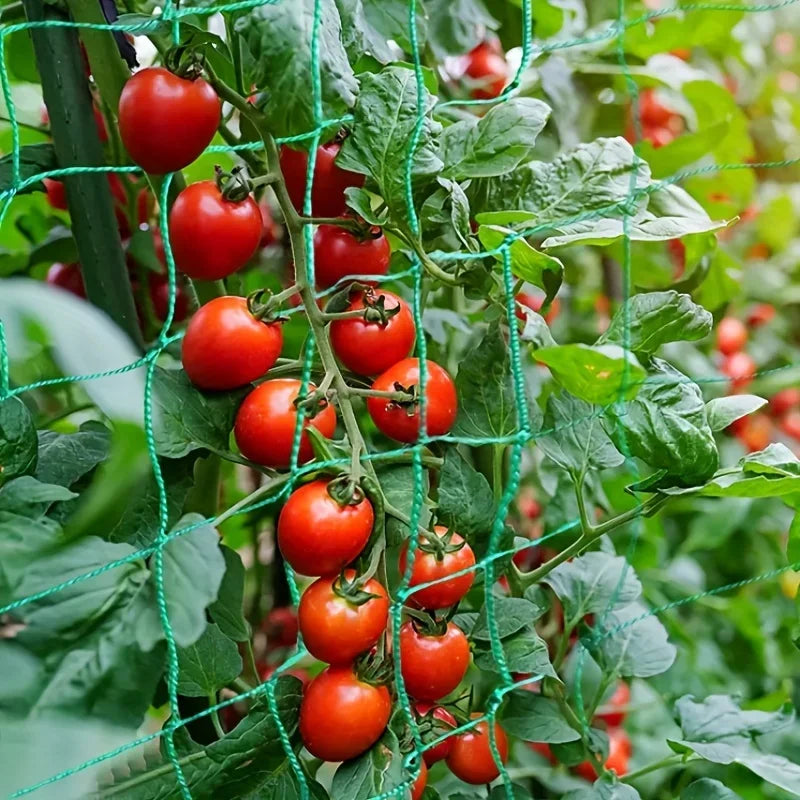 Trellis Pergolas Heavy-Duty Polyester Grow Net Garden Trellis Netting for Climbing Pl lifestyle view