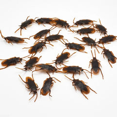 50/10/5PCS Fake Cockroach Centipede Scorpion Kids Trick Props Fake Roaches Plastic Bug close-up view