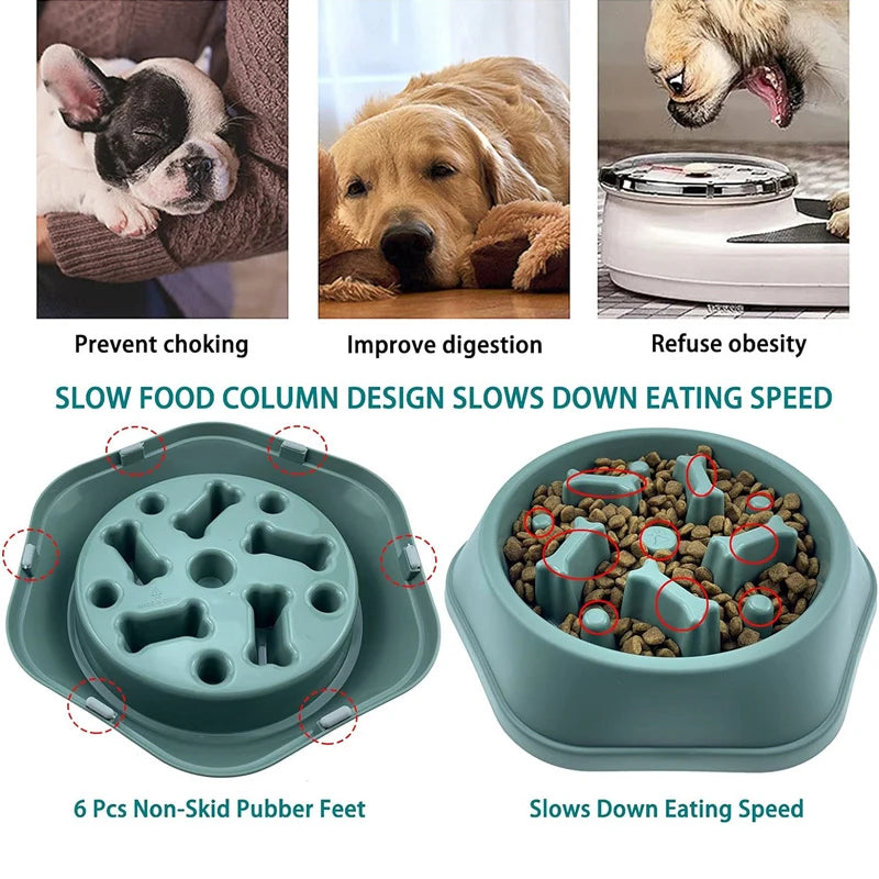 Slow Feeder Dog Bowl | Anti-Choking Puzzle Feeder for Small and Medium Dogs close-up view