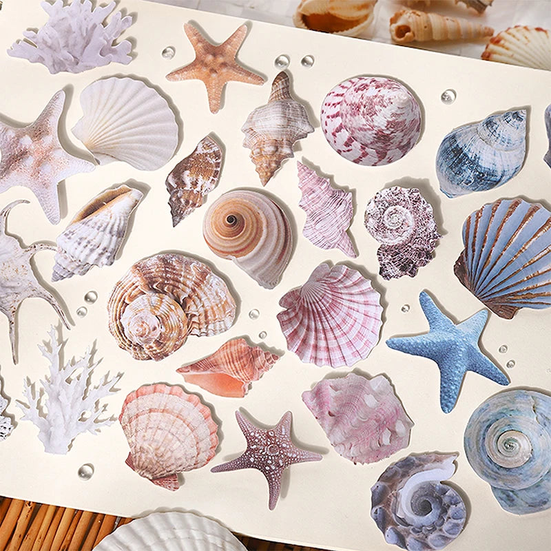 Journal GO 30pcs Vintage Conch Shell Sticker Scrapbooking Marine Life Stationery Sticker detail view