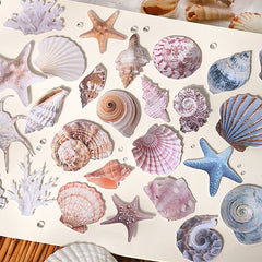 Journal GO 30pcs Vintage Conch Shell Sticker Scrapbooking Marine Life Stationery Sticker detail view