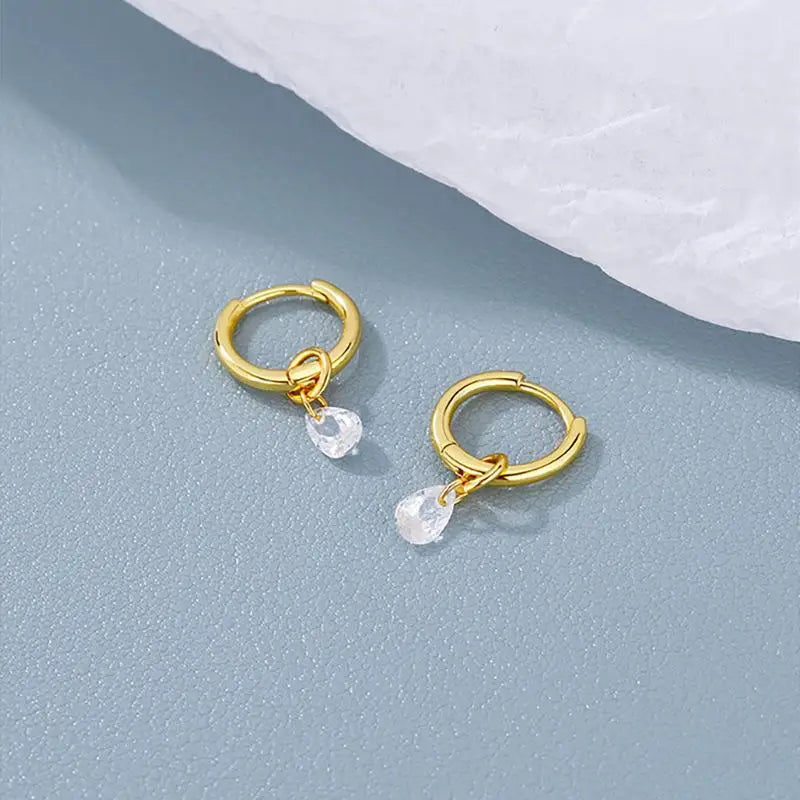 Stainless Steel Waterdrop Zircon Hoop Earrings for Women Men Gold Color Silver Color lifestyle view