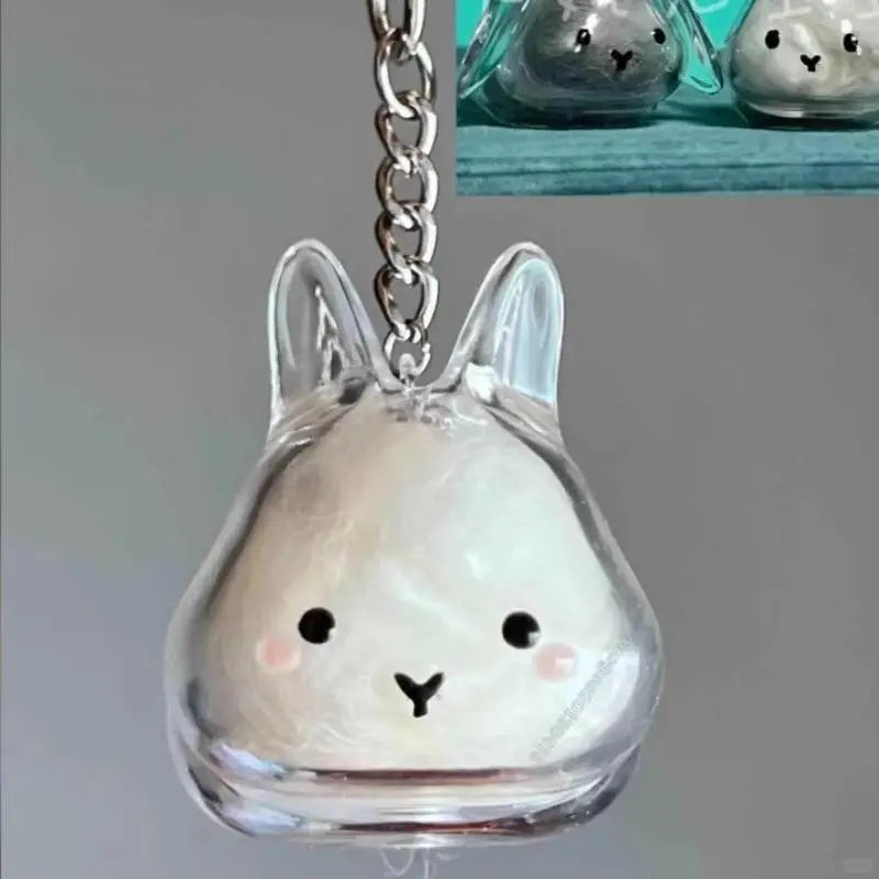 Cartoon Pet Hair Memorial Transparent Storage Box Keyring Cute Animal Rabbit Fur Organiz detail view