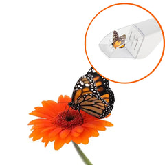 Fly Trap Insect Catcher | Safe and Humane Bug Catcher for Indoor and Outdoor Use alternate view