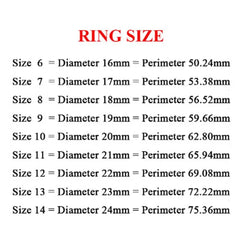 Seakissky Classic Fashion Stainless Steel Roman Digital Men Women Ring Cool Punk High close-up view