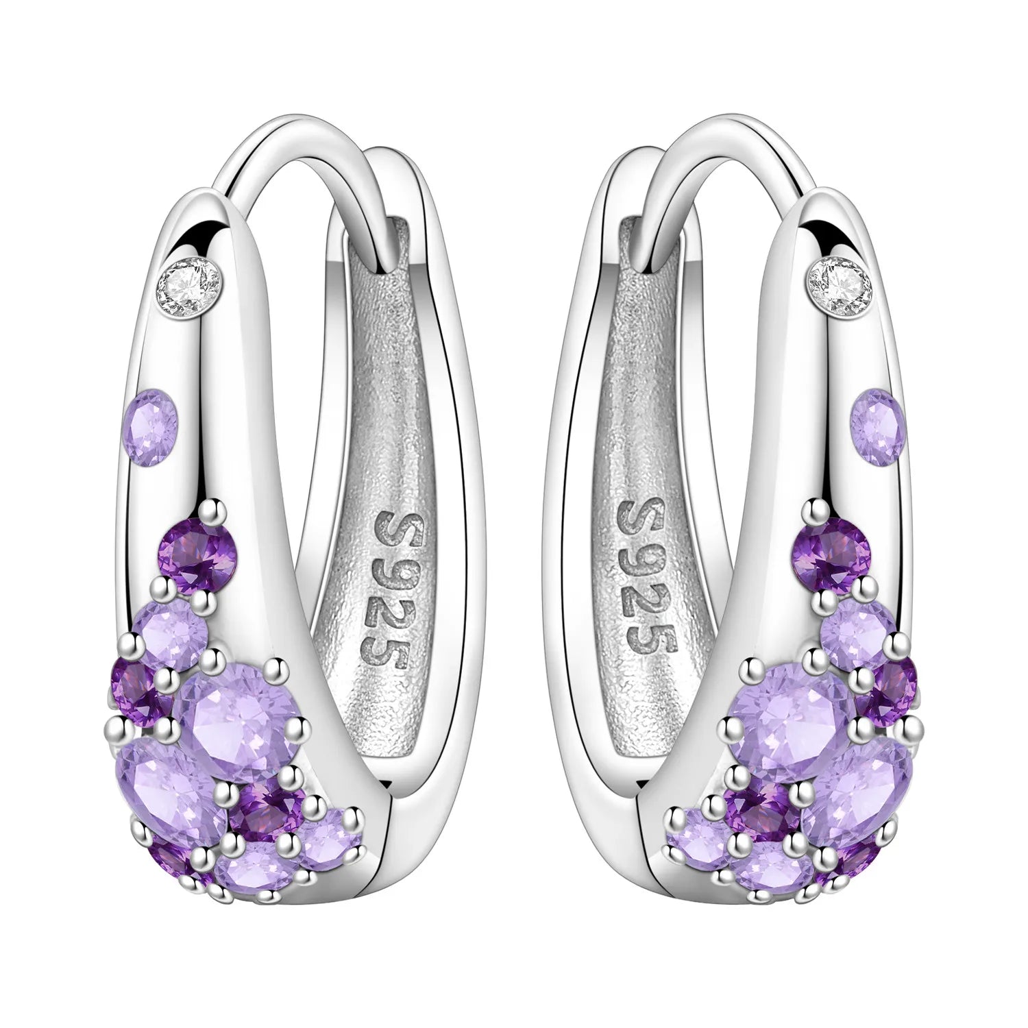 PANPOKI S925 Sterling Silver Purple Zircon Series Earrings Hoop Earrings For Women Jewelry Original