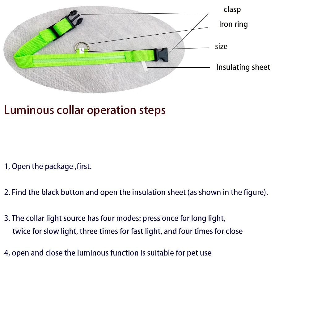 Nylon LED Night Safety Dog Collar lifestyle view