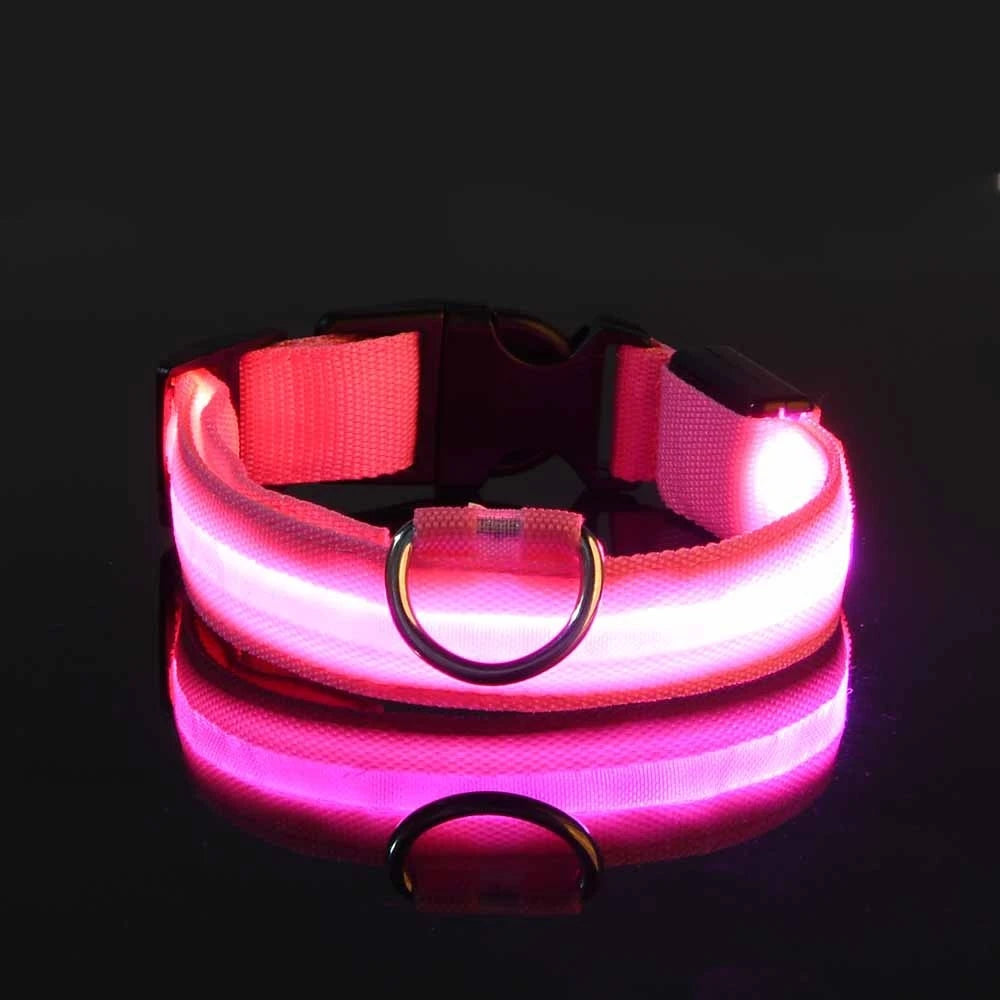 Nylon LED Night Safety Dog Collar lifestyle view