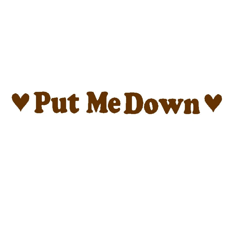 PUT ME DOWN Toilet Seat Reminder Sign | Funny Vinyl Bathroom Decal additional angle