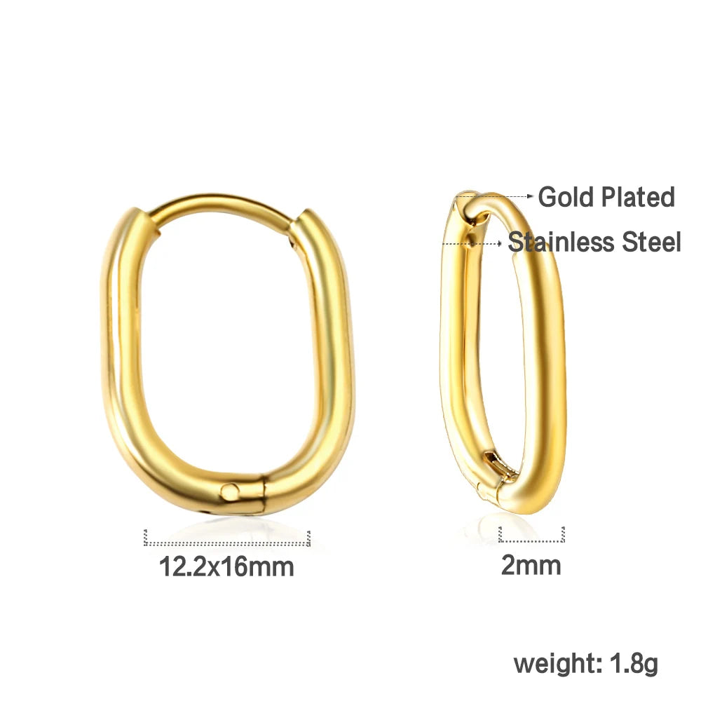 Stainless Steel Hoop Earrings for Women | Hypoallergenic Round Hinged Hoops - 12/14/16 close-up view
