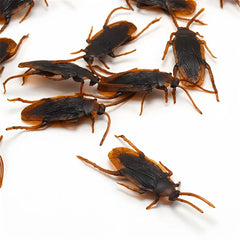 15/5pc Simulated Cockroaches Realistic Fake Cockroaches in Plastic Models Fun Props For detail view