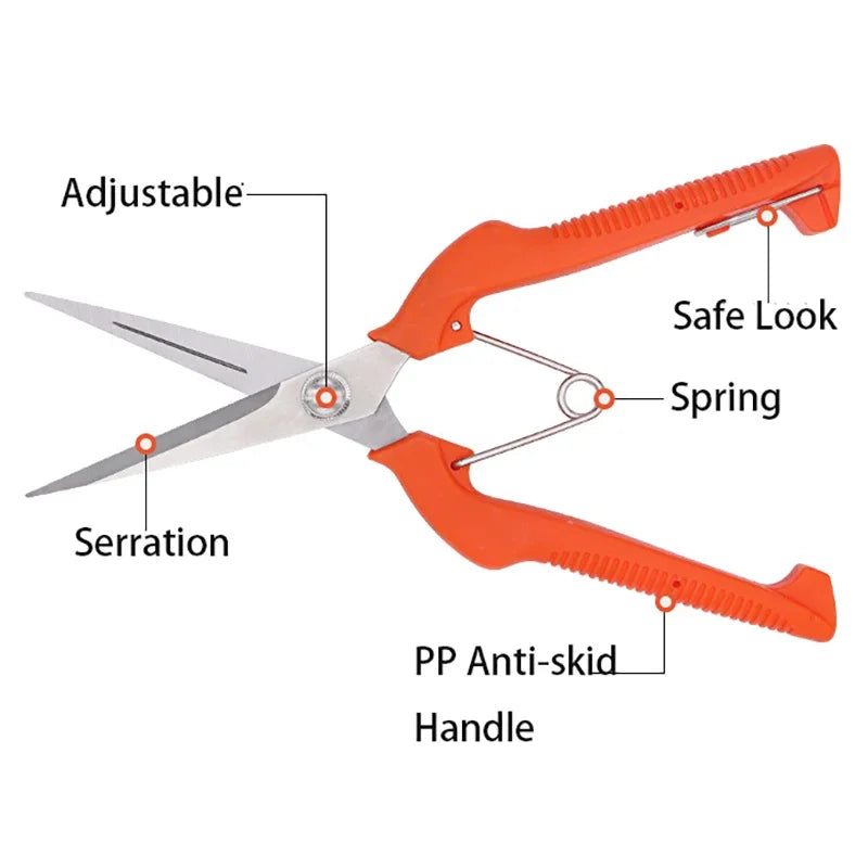 Grape Scissors Pruning Shears | Professional Stainless Steel Garden Tool close-up view